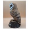 61 The Quiet Sentinel Barn Owl