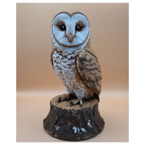 62 The Quiet Sentinel Barn Owl