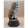 63 The Quiet Sentinel Barn Owl