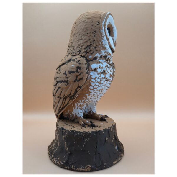 63 The Quiet Sentinel Barn Owl