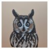 7 Twilight Sentinel – Long-Eared Owl