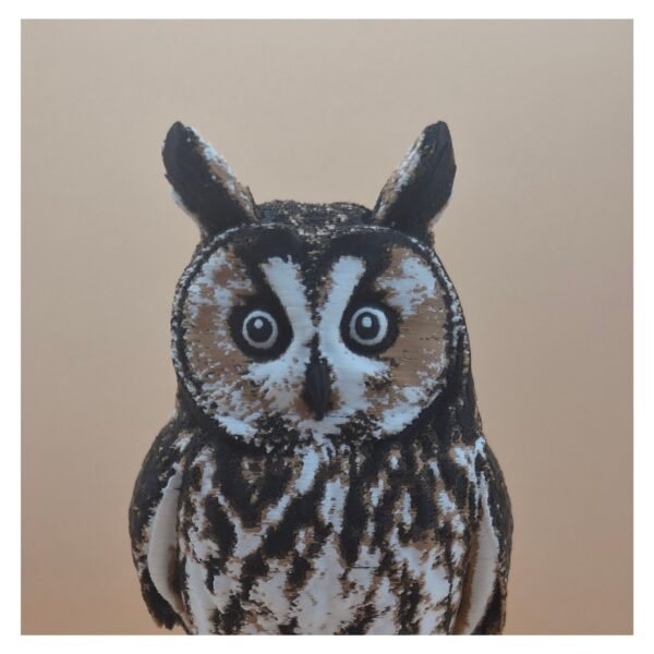 7 Twilight Sentinel – Long-Eared Owl