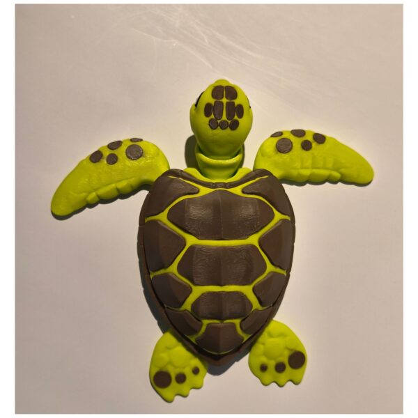 Terrarium met moeder zeeschildpad en kind