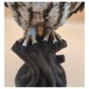 8 Twilight Sentinel – Long-Eared Owl