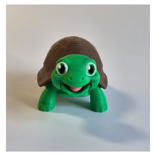 Schildpad – Decoratieve 3D-geprinte Schildpad